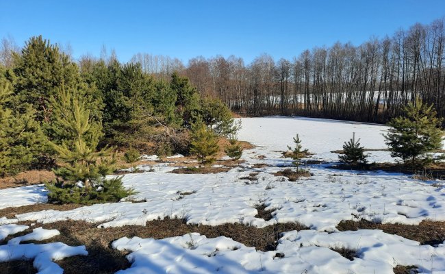 /nt-pasiulymai/sklypas-smilgiu-viensedyje--moletu-rajone-netoli-duriu-ezero---