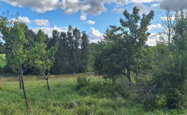 Sodyba Molėtų rajone, Kužų kaime