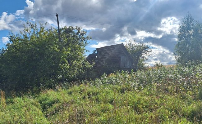Sodyba Molėtų rajone, Kužų kaime