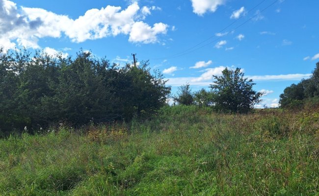 Sodyba Molėtų rajone, Kužų kaime