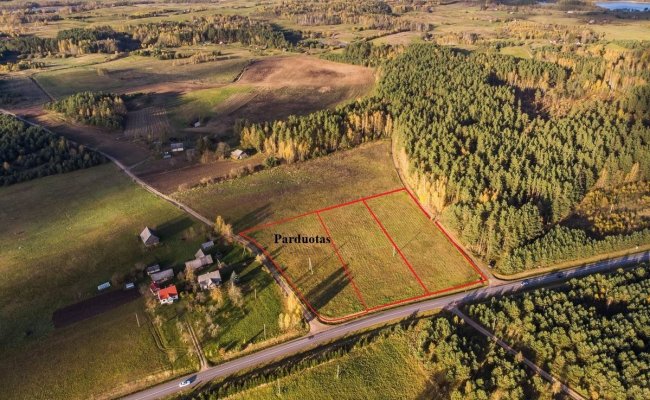 Parduodami du sklypai Juočių kaime, Molėtų r. sav.                                                           