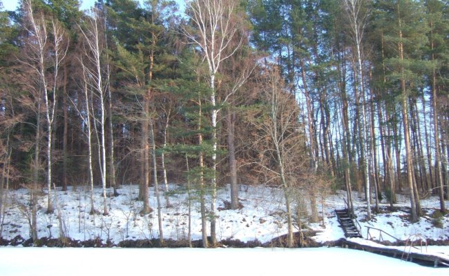/nt-pasiulymai/parduodamas-sklypas--moletu-rajone--golbos-kaime-siesarties-ezero-pakranteje